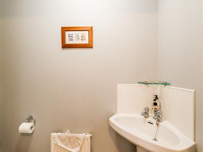 Picture 15